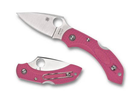 Dragonfly 2    Pink Heals
